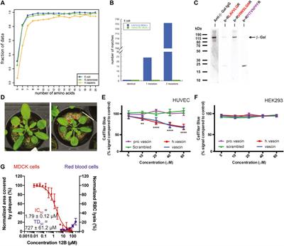 Bacterial Protein Homeostasis Disruption as a Therapeutic Intervention